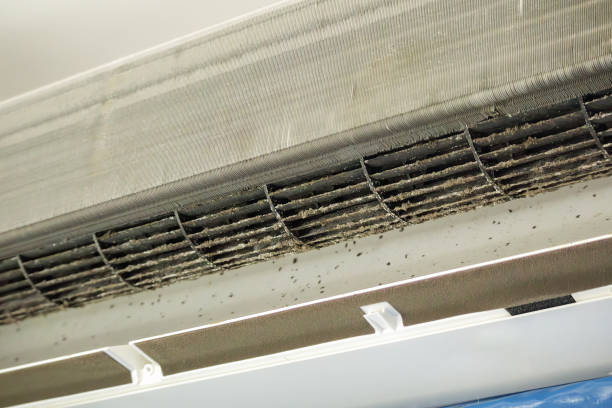 Best Air Duct Cleaning Near Me  in Trenton, FL